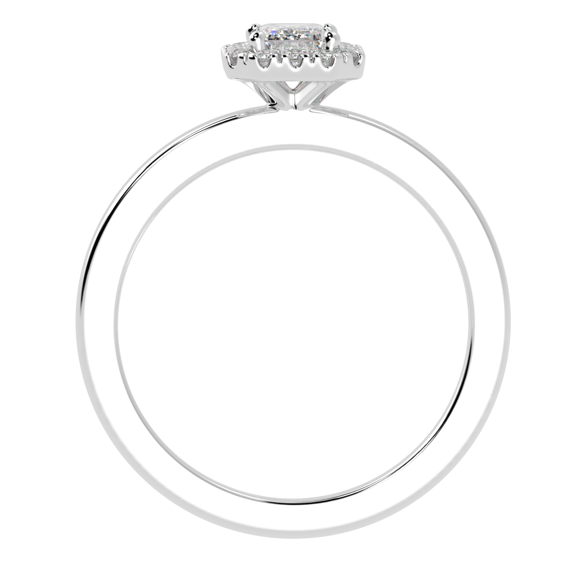 Halorring Norrvind